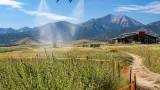 Longmont schedules drone herbicide application near Sandstone Ranch